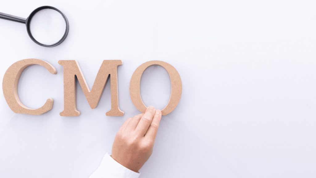 Fractional CMO vs. Full-Time CMO: Which Is Actually Better?
