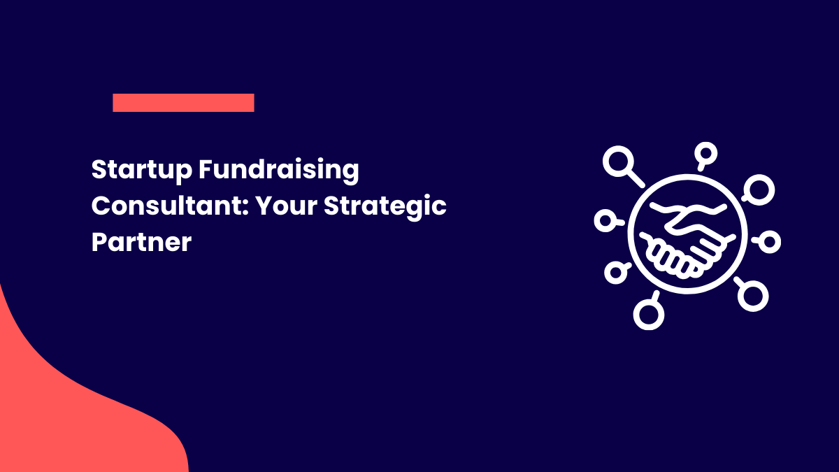 Startup Fundraising Consultant
